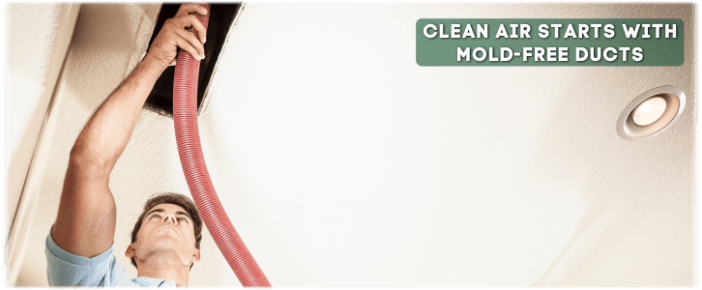Air Duct Mold Removal in Phoenix