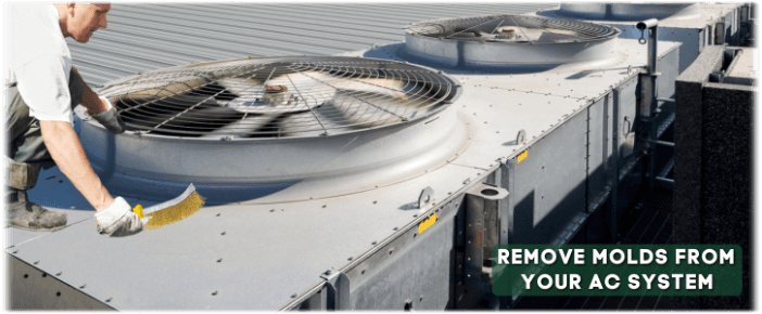 HVAC Mold Removal Phoenix